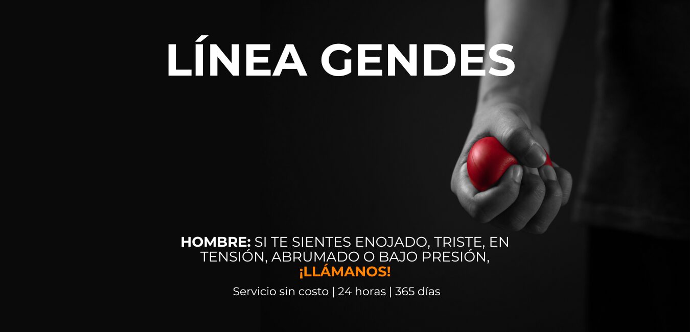 linea-gendes-cover-website